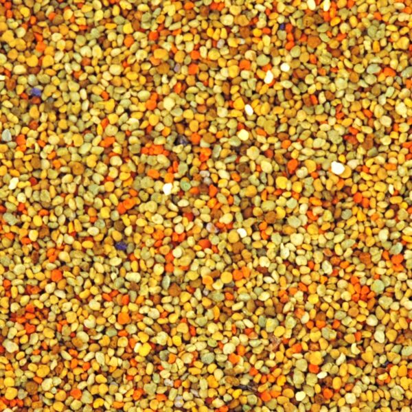 Pollen frais d'abeille noire récolté en pays d'othe.